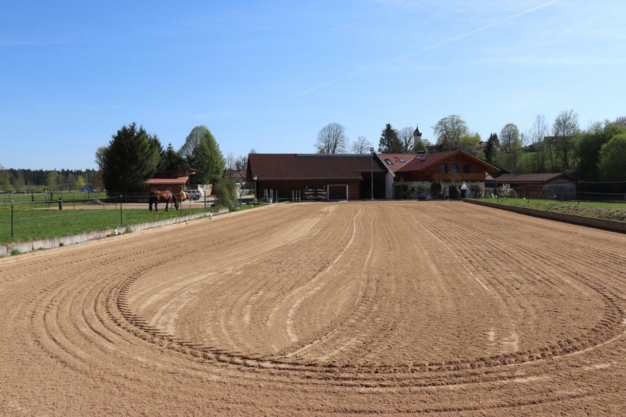 Pferdehof Pankratz Iffeldorf